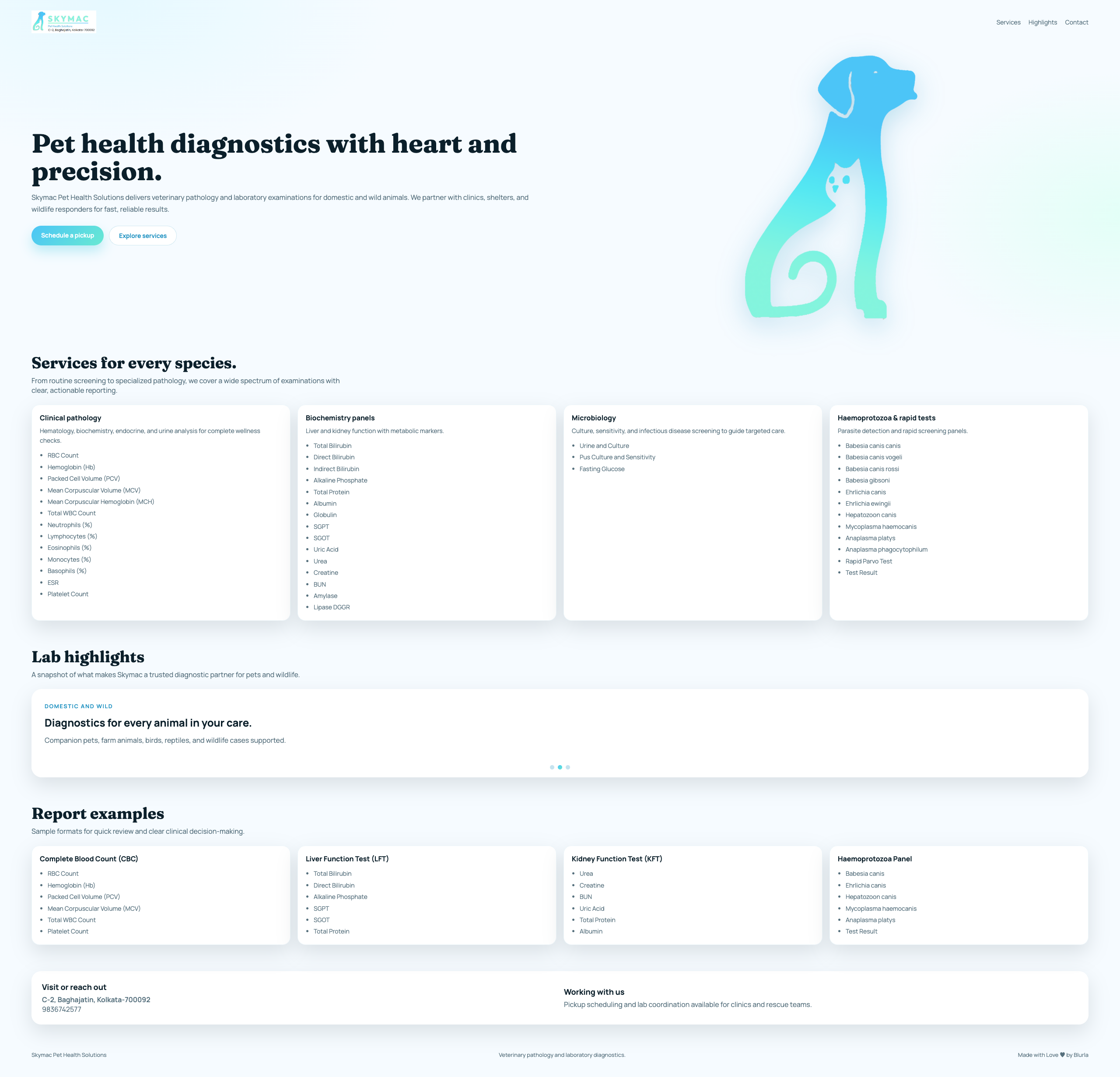 Brand website homepage preview